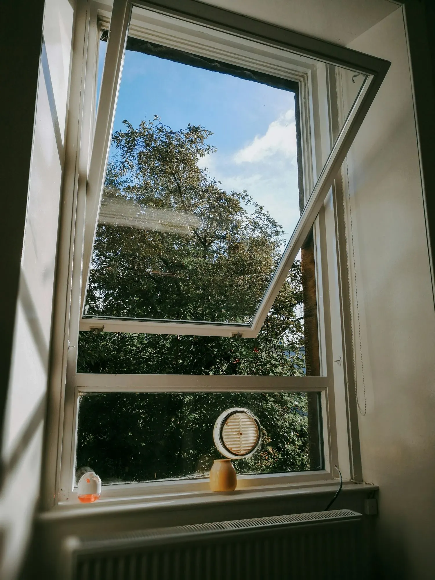 Geöffnetes, sauberes Fenster mit Blick ins Grüne